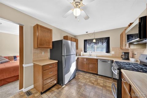 Tiny photo for 16532 Branchwood Drive, Wildwood, MO 63011 (MLS # 25078235)