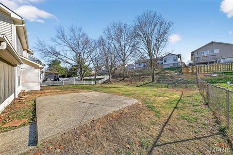 Tiny photo for 16532 Branchwood Drive, Wildwood, MO 63011 (MLS # 25078235)