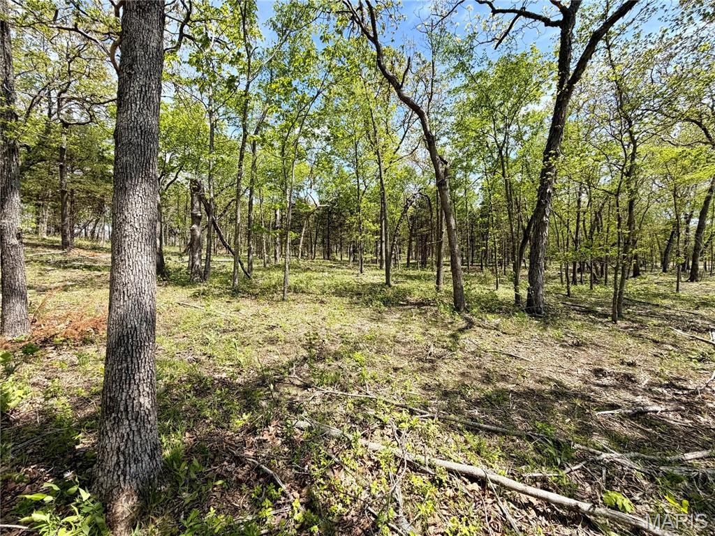 Legacy Valley Estates - Land