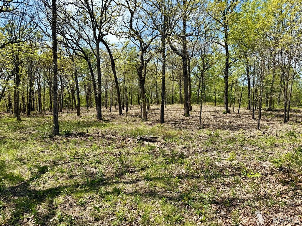 Legacy Valley Estates - Land