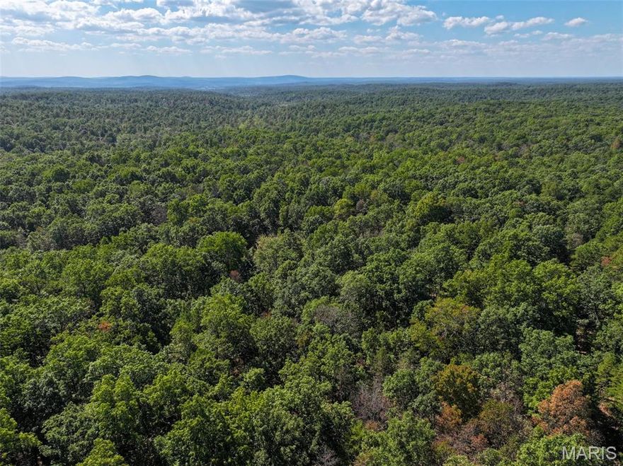 This expansive 251+/- acre farm in Washington County, Missouri, offers a prime opportunity to own your own secluded slice of the Ozarks. The tract is mainly timber, including some marketable timber, with countless oaks dropping acorns for the local wildlife. The power easement on the north side of the property provides some open ground and food plot potential.  Over two miles of trails make it ideal for ATV rides, hiking, or horseback riding, while providing easy access throughout the land. Accessible by easement off Delbridge Road, this remote tract ensures ultimate privacy. Perfect for hunting deer, turkey, and small game amid its dense woods and varied terrain. Situated only six miles from Potosi, this tract is the perfect combination of a secluded hunting farm blended with the conveniences of being close to town.