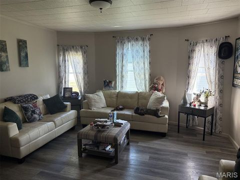 Tiny photo for 410 N 5th Street, Elsberry, MO 63343 (MLS # 25062344)