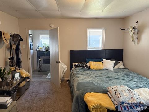 Tiny photo for 410 N 5th Street, Elsberry, MO 63343 (MLS # 25062344)