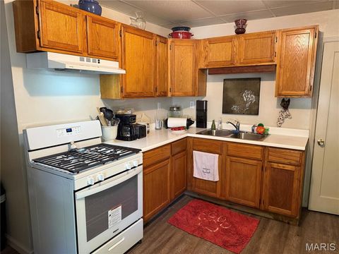 Tiny photo for 410 N 5th Street, Elsberry, MO 63343 (MLS # 25062344)