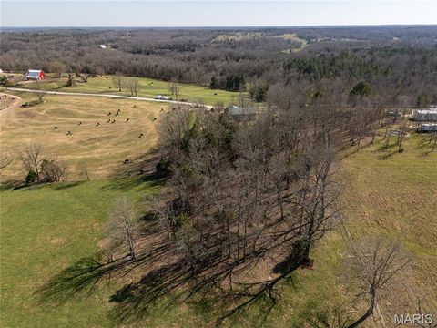 Tiny photo for 20305 Pigeon Creek Road, Licking, MO 65542 (MLS # 26005060)