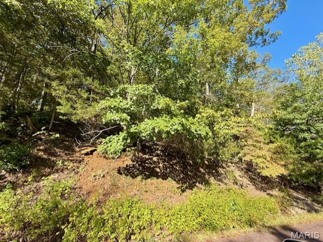 Lake Sherwood Estates - Land