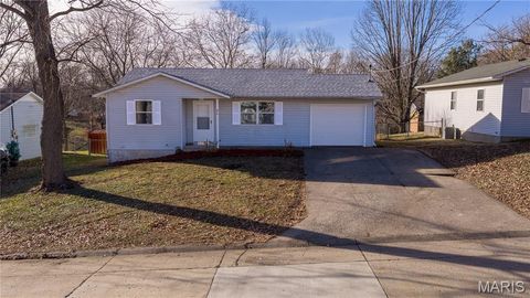 Photo of 425 Sycamore Street, Jackson, MO 63755 (MLS # 25080989)