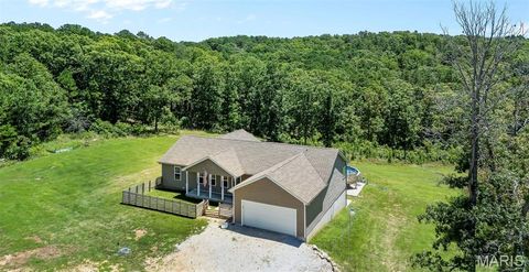 Photo of 20722 State Highway AA Hwy, Potosi, MO 63664 (MLS # 25070044)