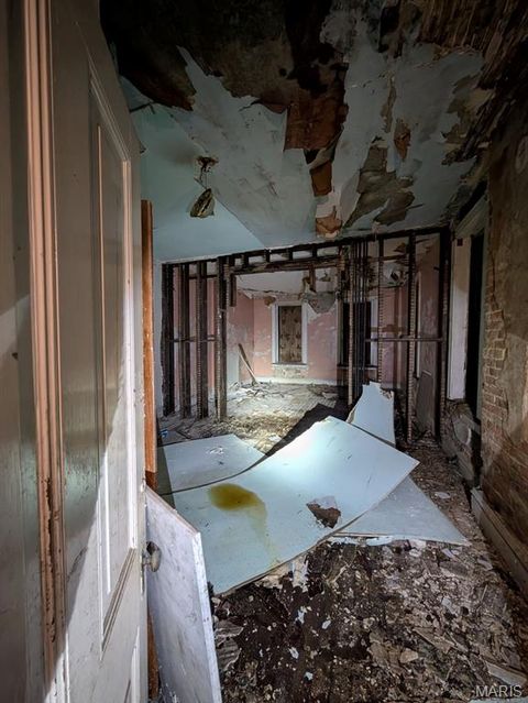 Tiny photo for 2806 Magnolia Avenue, St Louis, MO 63118 (MLS # 26026868)
