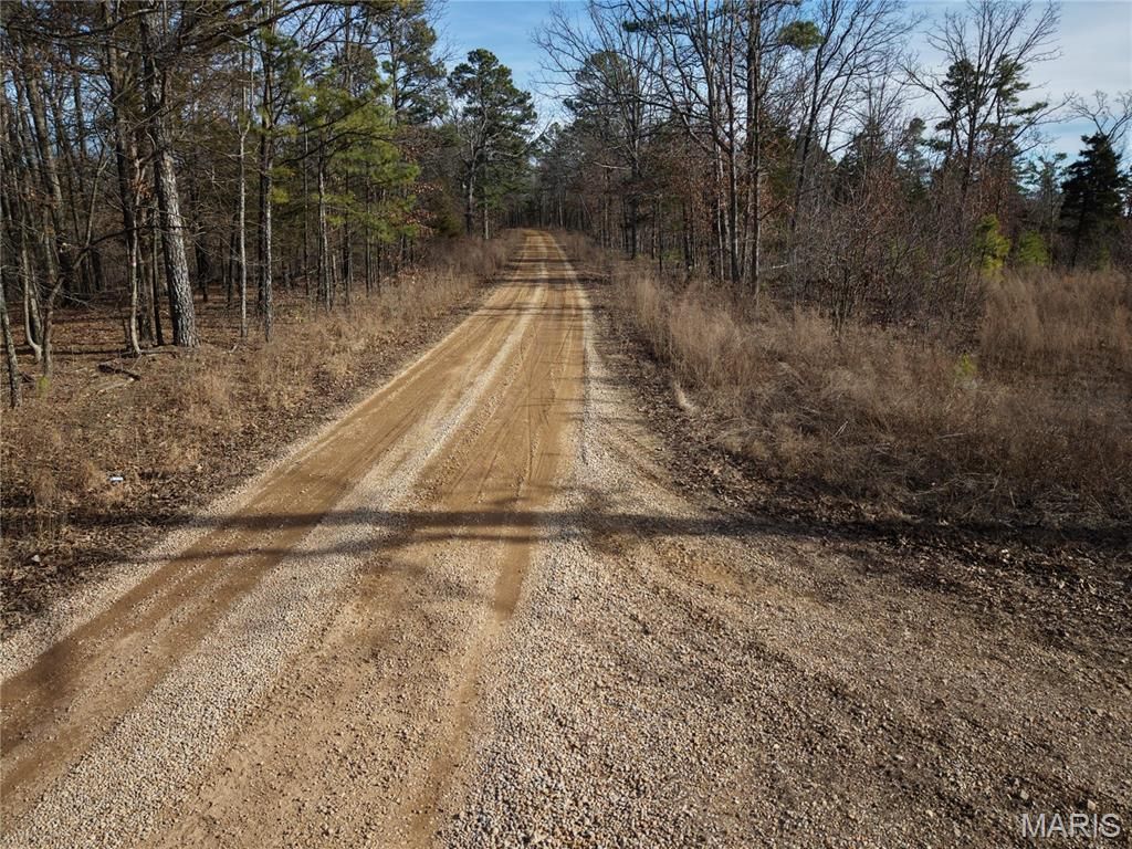 Photo of 1 Bidwell Creek Road, Womack, MO 63645 (MLS # 26026057)