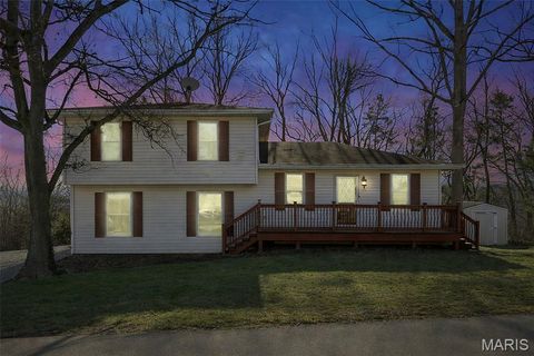 53 Lois Lane Fenton MO 63026