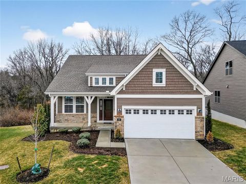 Photo of 253 Cambium Court, Wentzville, MO 63385 (MLS # 26011953)