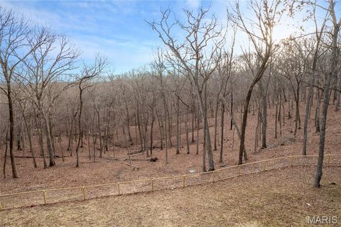 Tiny photo for 19250 River Ridge Lane, Wildwood, MO 63005 (MLS # 25069115)