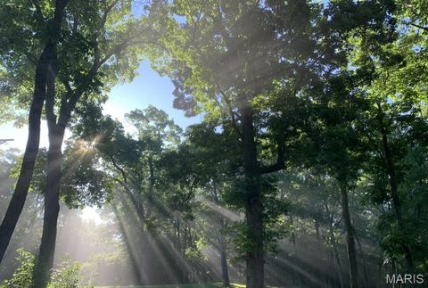 Tiny photo for 19250 River Ridge Lane, Wildwood, MO 63005 (MLS # 25069115)