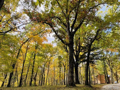 Tiny photo for 19250 River Ridge Lane, Wildwood, MO 63005 (MLS # 25069115)