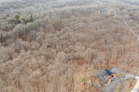 Tiny photo for 19250 River Ridge Lane, Wildwood, MO 63005 (MLS # 25069115)