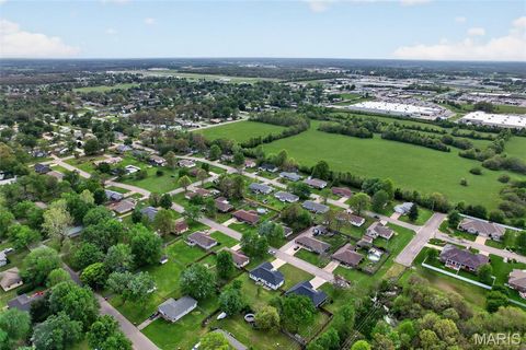 Tiny photo for 1408 Lana Drive, Lebanon, MO 65536 (MLS # 26025845)