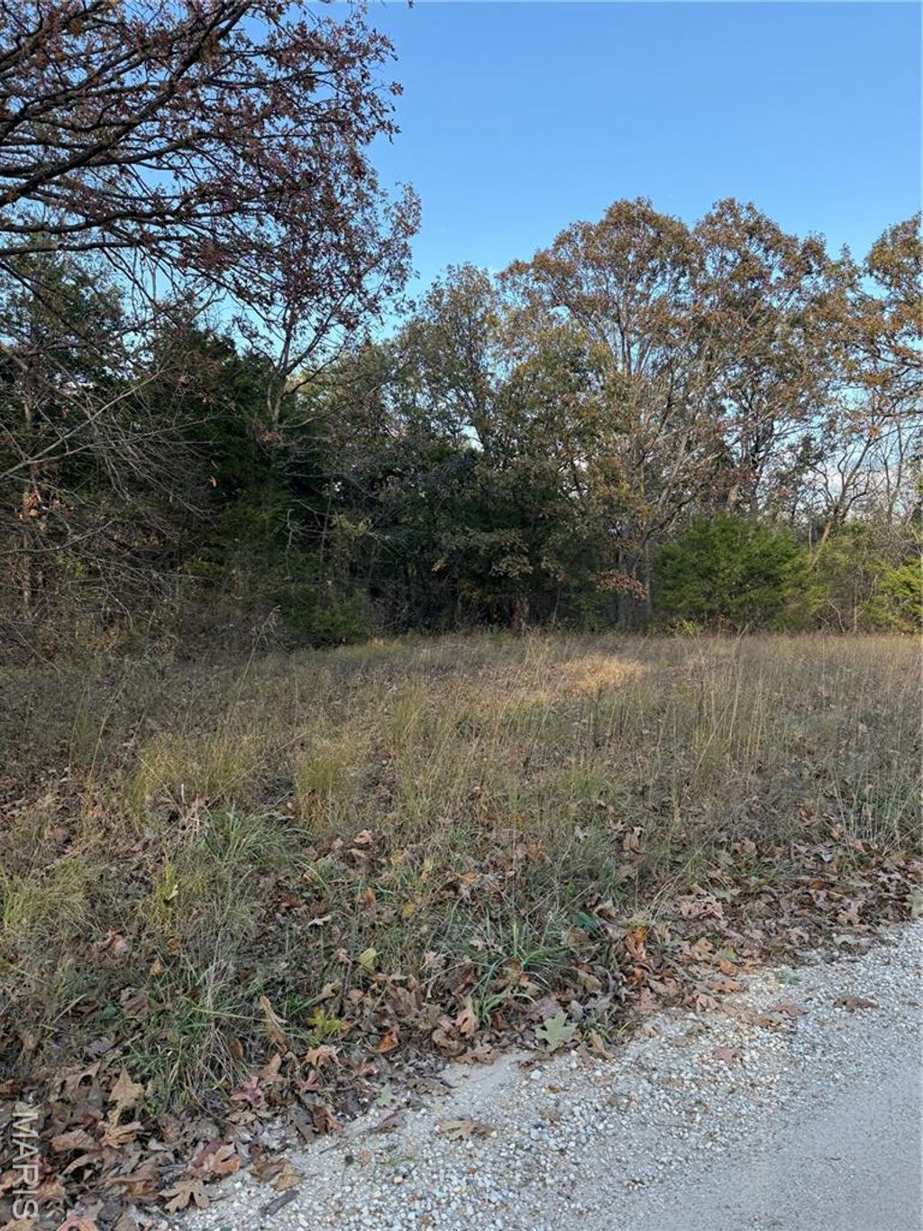 Photo of 19353 County Road 1140, St James, MO 65559 (MLS # 25073494)
