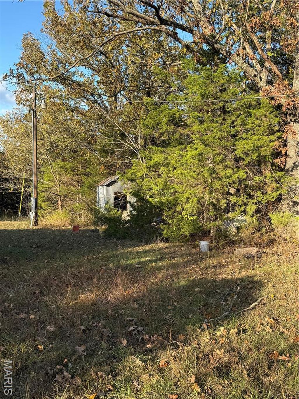 Photo of 19353 County Road 1140, St James, MO 65559 (MLS # 25073494)