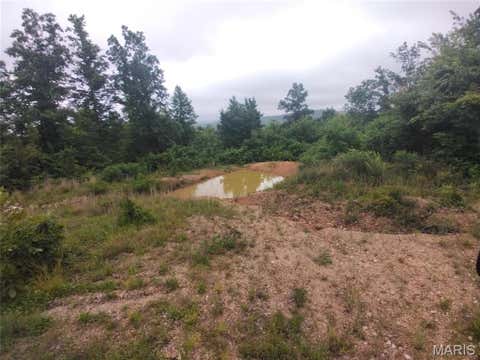 Tiny photo for 3 Tract 3 Off Highway O, Belleview, MO 63623 (MLS # 26040358)