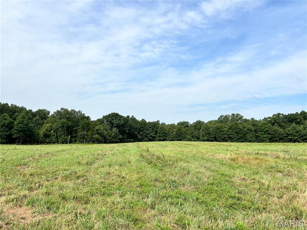 Photo of 1 Springview Farms, Marthasville, MO 63357 (MLS # 26004133)