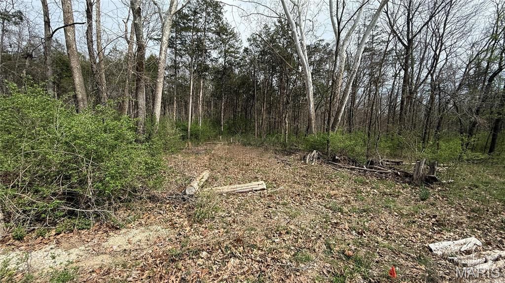 Photo of 209 Highland Drive, Dittmer, MO 63023 (MLS # 26017449)