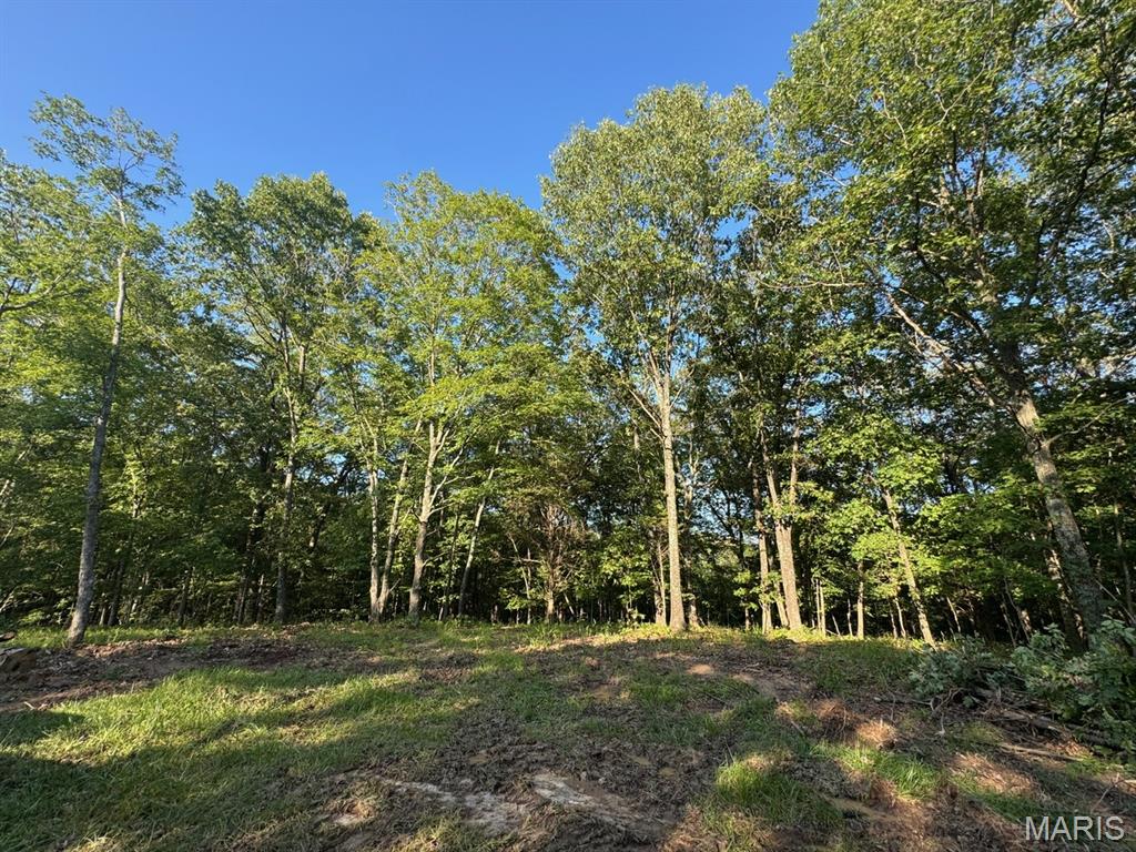 160 Steeple Point DR. Lot #9 Drive