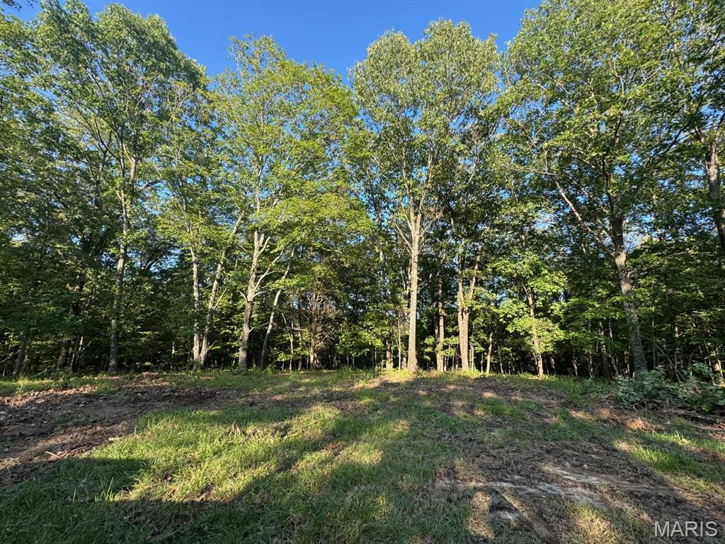 160 Steeple Point DR. Lot #9 Drive