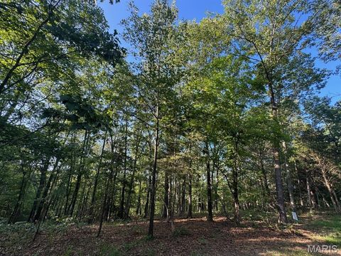 160 Steeple Point DR. Lot #9 Drive Defiance MO 63341