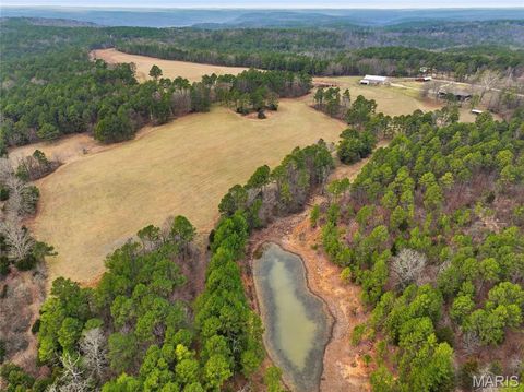 Tiny photo for 15556 Slab Spring Drive, Licking, MO 65442 (MLS # 26012318)