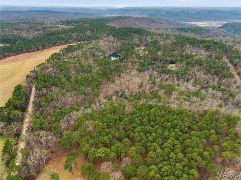 Tiny photo for 15556 Slab Spring Drive, Licking, MO 65442 (MLS # 26012318)