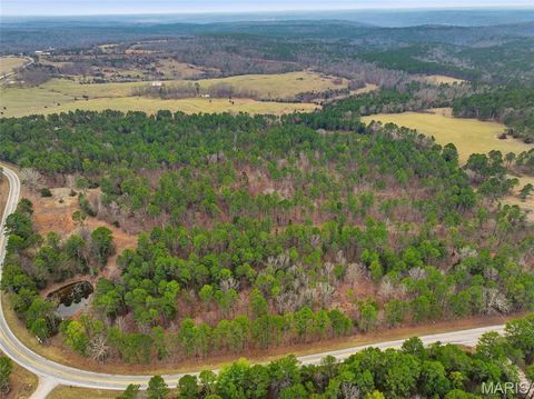 Tiny photo for 15556 Slab Spring Drive, Licking, MO 65442 (MLS # 26012318)