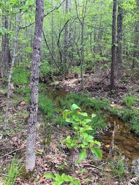 Cherokee Pass - Land