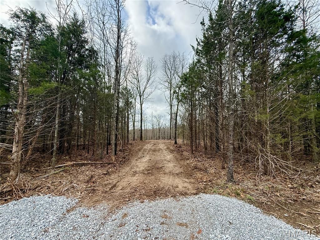 Photo of 000 Highway CC Tract A, Licking, MO 65542 (MLS # 26019752)