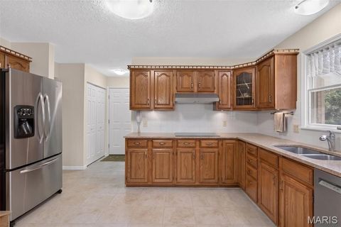 Tiny photo for 709 Jerome Drive, Festus, MO 63028 (MLS # 26042032)