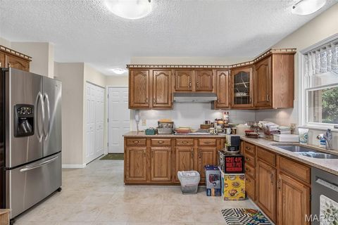Tiny photo for 709 Jerome Drive, Festus, MO 63028 (MLS # 26042032)
