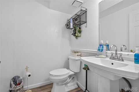 Tiny photo for 709 Jerome Drive, Festus, MO 63028 (MLS # 26042032)