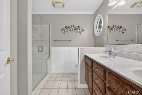 Tiny photo for 709 Jerome Drive, Festus, MO 63028 (MLS # 26042032)