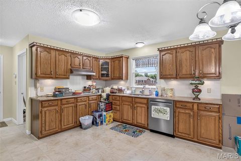 Tiny photo for 709 Jerome Drive, Festus, MO 63028 (MLS # 26042032)
