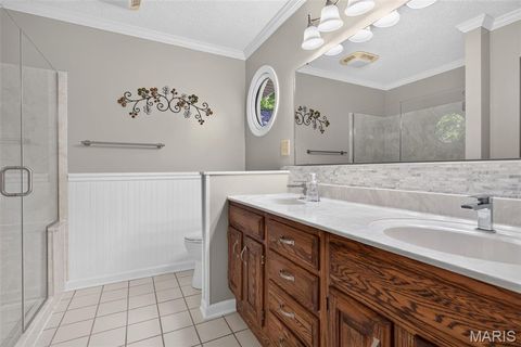Tiny photo for 709 Jerome Drive, Festus, MO 63028 (MLS # 26042032)