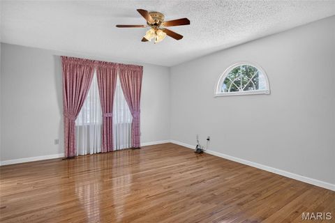 Tiny photo for 709 Jerome Drive, Festus, MO 63028 (MLS # 26042032)