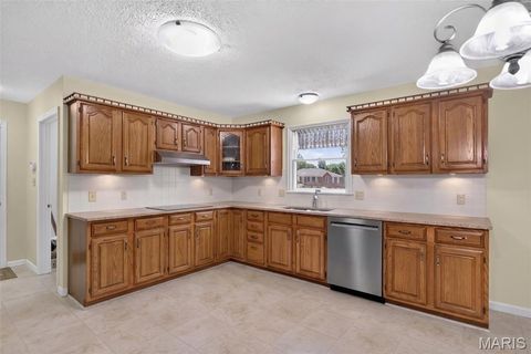 Tiny photo for 709 Jerome Drive, Festus, MO 63028 (MLS # 26042032)