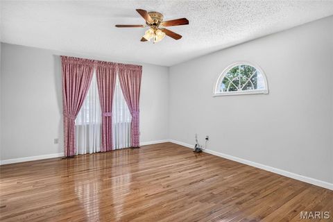 Tiny photo for 709 Jerome Drive, Festus, MO 63028 (MLS # 26042032)