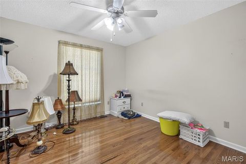 Tiny photo for 709 Jerome Drive, Festus, MO 63028 (MLS # 26042032)