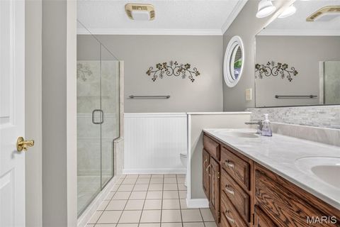 Tiny photo for 709 Jerome Drive, Festus, MO 63028 (MLS # 26042032)