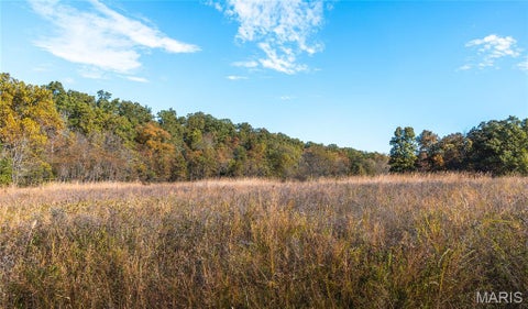 Tiny photo for 18128 County Road 7520, Newburg, MO 65550 (MLS # 26068157)