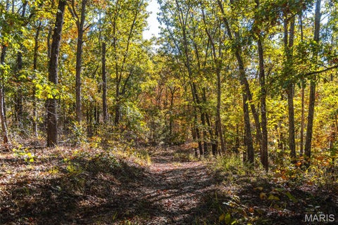 Tiny photo for 18128 County Road 7520, Newburg, MO 65550 (MLS # 26068157)