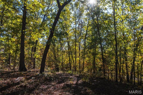 Tiny photo for 18128 County Road 7520, Newburg, MO 65550 (MLS # 26068157)