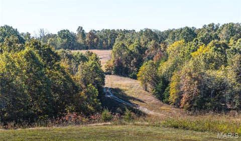 Tiny photo for 18128 County Road 7520, Newburg, MO 65550 (MLS # 26068157)