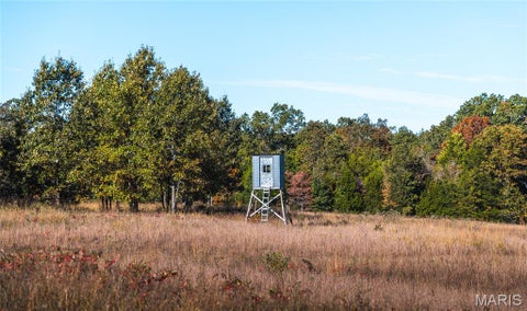 Tiny photo for 18128 County Road 7520, Newburg, MO 65550 (MLS # 26068157)